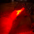 Flipo Vapor Raptor RC - Interactive RC Dinosaur