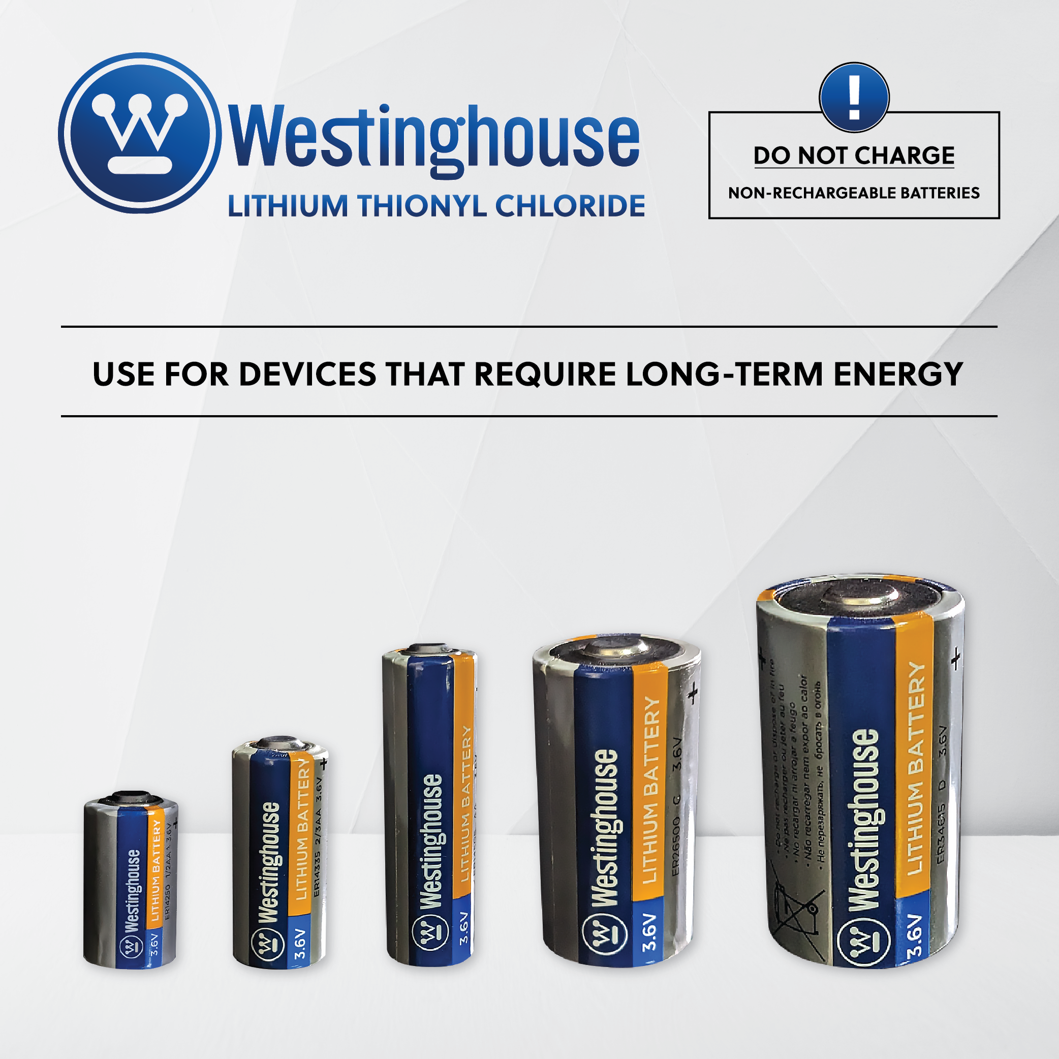 ER34615 D size 3.6V Lithium Primary Battery for Specialized Devices - Non Rechargeable