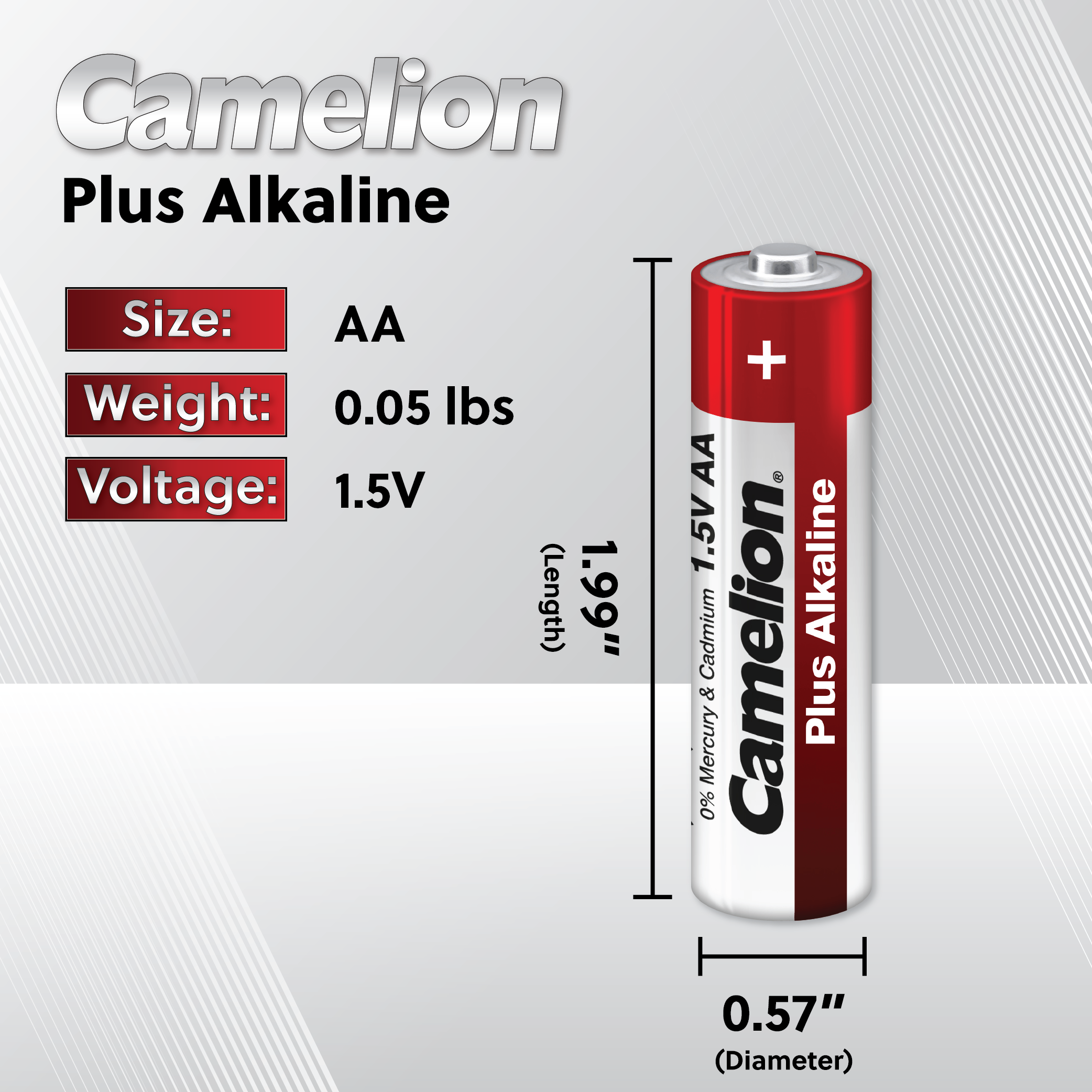 Camelion AA Plus Alkaline 24 Hard Plastic Case