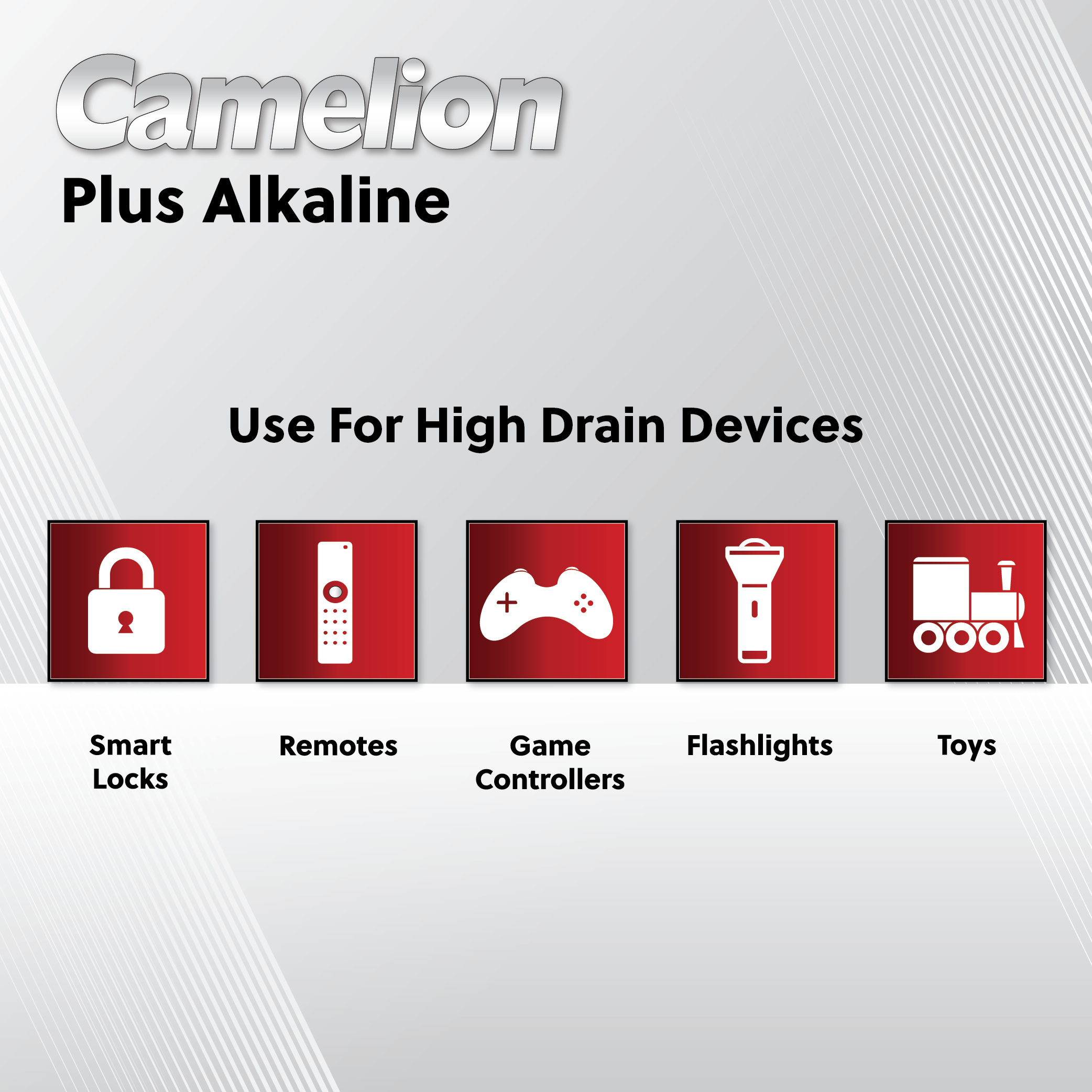 Camelion AA Plus Alkaline 24 Hard Plastic Case