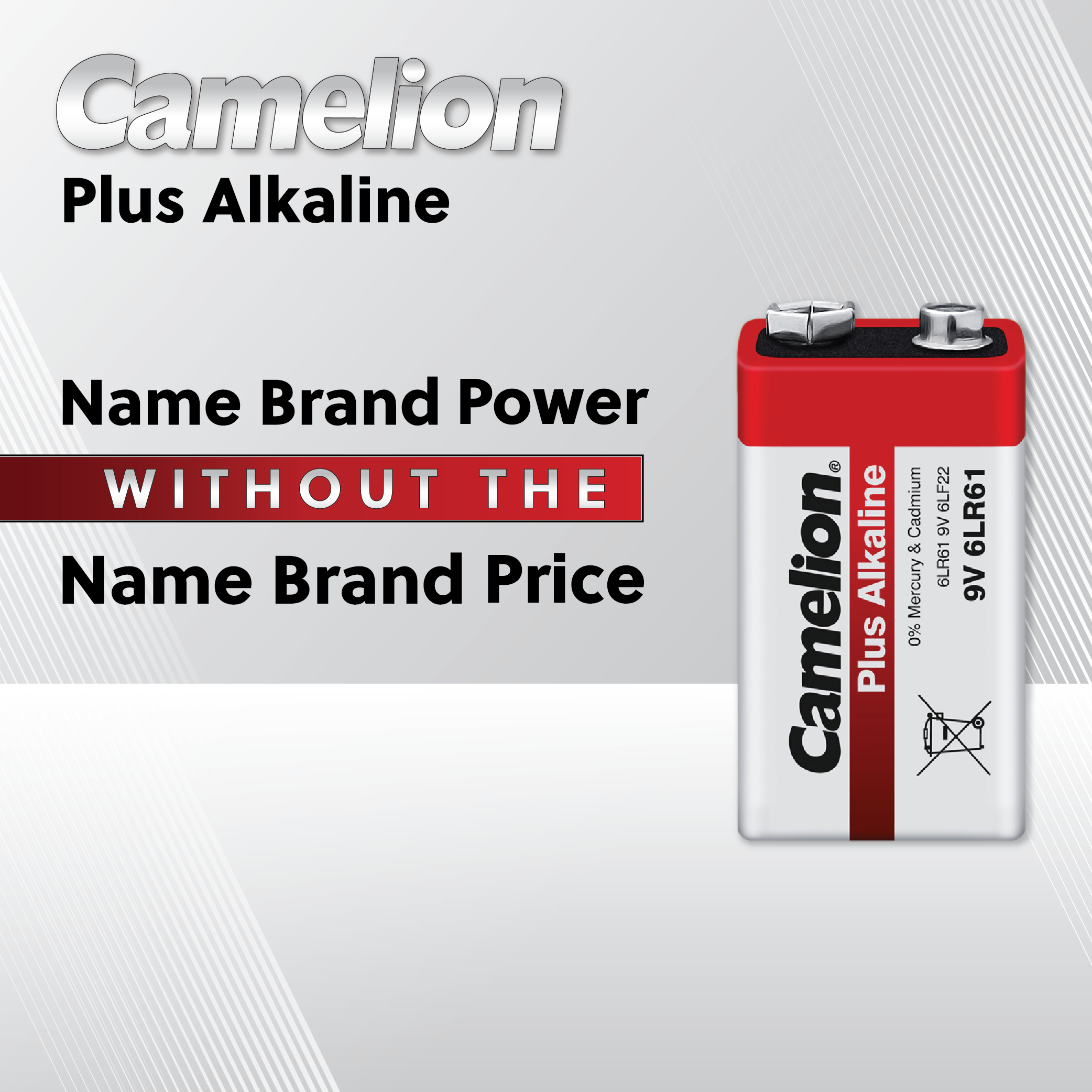 AAA Plus Alkaline 10+2 Pack Counter Display of 20