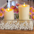 Pacific Accents Flameless Elite Collection - 4" Spring Wax Pillars