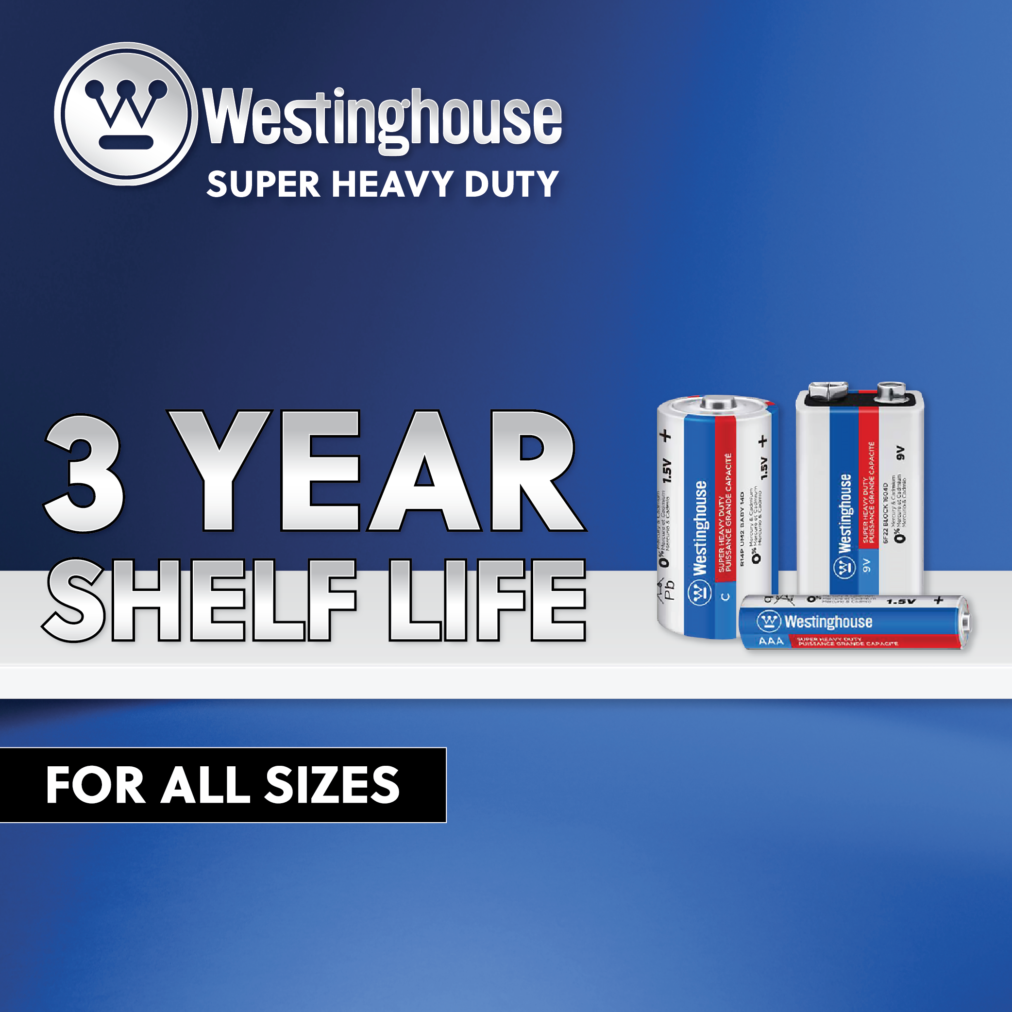 Westinghouse AAA Super Heavy Duty 24pk Tub