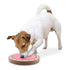 Brainiac Spin-O-Rama™  Treat Dispensing Pet Toy