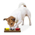 Brainiac Flip-Flop-Fido™ Treat Dispensing Pet Toy